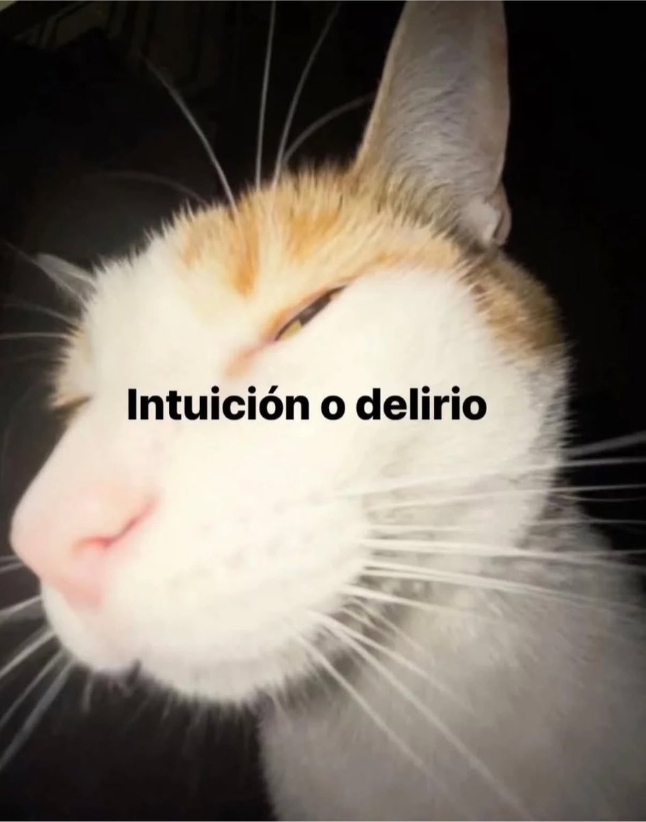 gatinarios's tweet photo. https://t.co/i6ehxN59nT