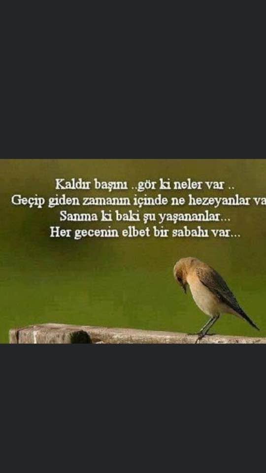 FatmagulChakan's tweet photo. https://t.co/YuxAKYfqxw