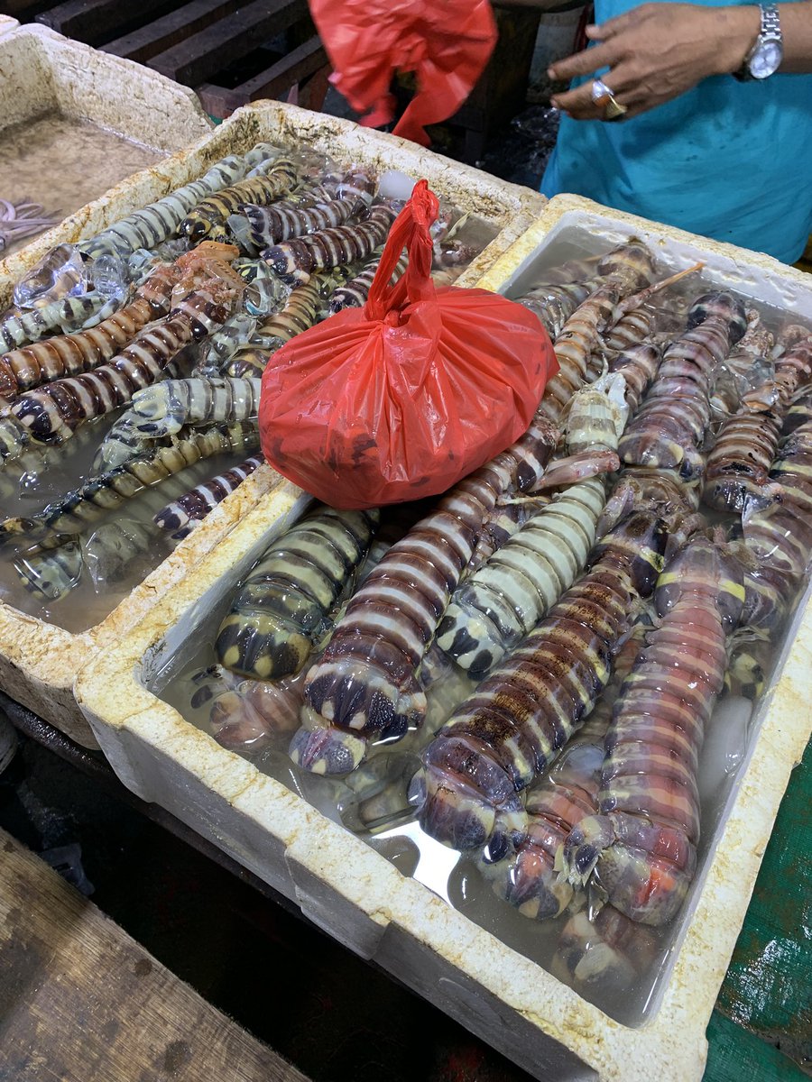 Beefcurrys's tweet photo. ketemu Napoleon Bonaparte di Pasar ikan Muara angke https://t.co/QlshccHZ9l
