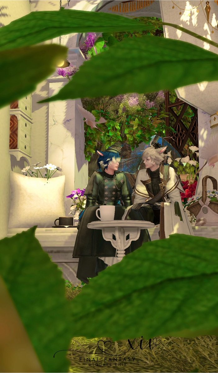 yuu_str_'s tweet photo. 夕方の密会

#FF14 #オスッテ #SharrowVega https://t.co/x14GYzF1Zi