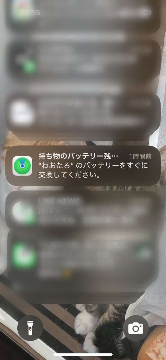 waotaro1's tweet photo. たいへん！ https://t.co/EyGtGRql3r