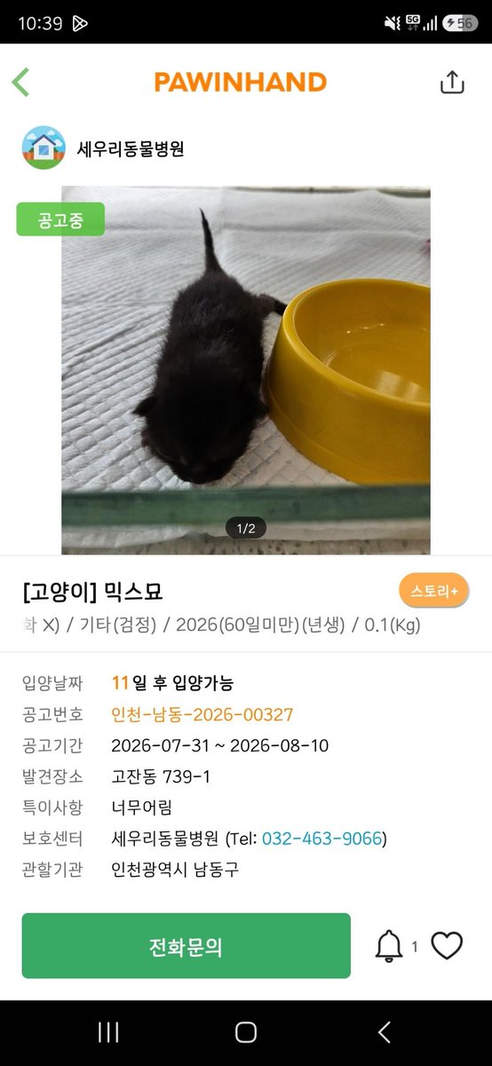 _JAEDA__'s tweet photo. [입양홍보]
‼️깜고 아깽이 가족찾아요‼️

어떤 분 공사장 인근에서 발견된 아이인데
엄마가 3일이상 안 나타났고
발견 다음날부터 여름 휴가라 인부 중 한분이 보호소로 보냈대요ㅠㅠ

아기고양이한테는 보호소는 좋지 못한 환경이라 꼭 가족 찾을 수 있게 알티 한번 부탁드릴게요!!! https://t.co/QmnLFzvlcz