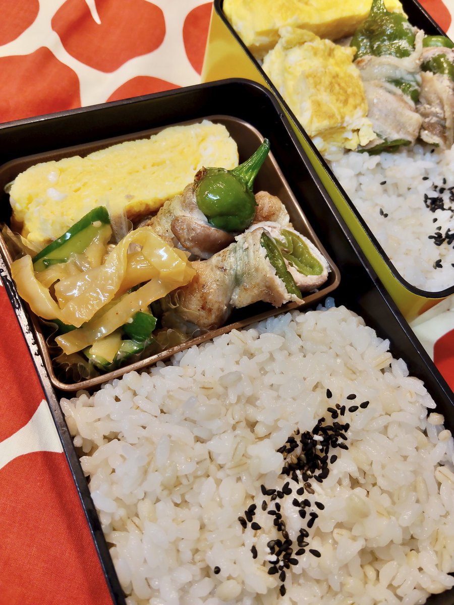 obentoBAKO_mako's tweet photo. 火曜日🍎弁当

明日早番 https://t.co/lr2Kub7Fgd