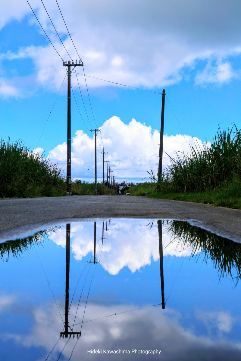 hide_tpit's tweet photo. 雨があがって
#写真で伝えたい私の世界 
#ファインダー越しの私のセカイ 
#キリトリセカイ https://t.co/UvivWL9byi