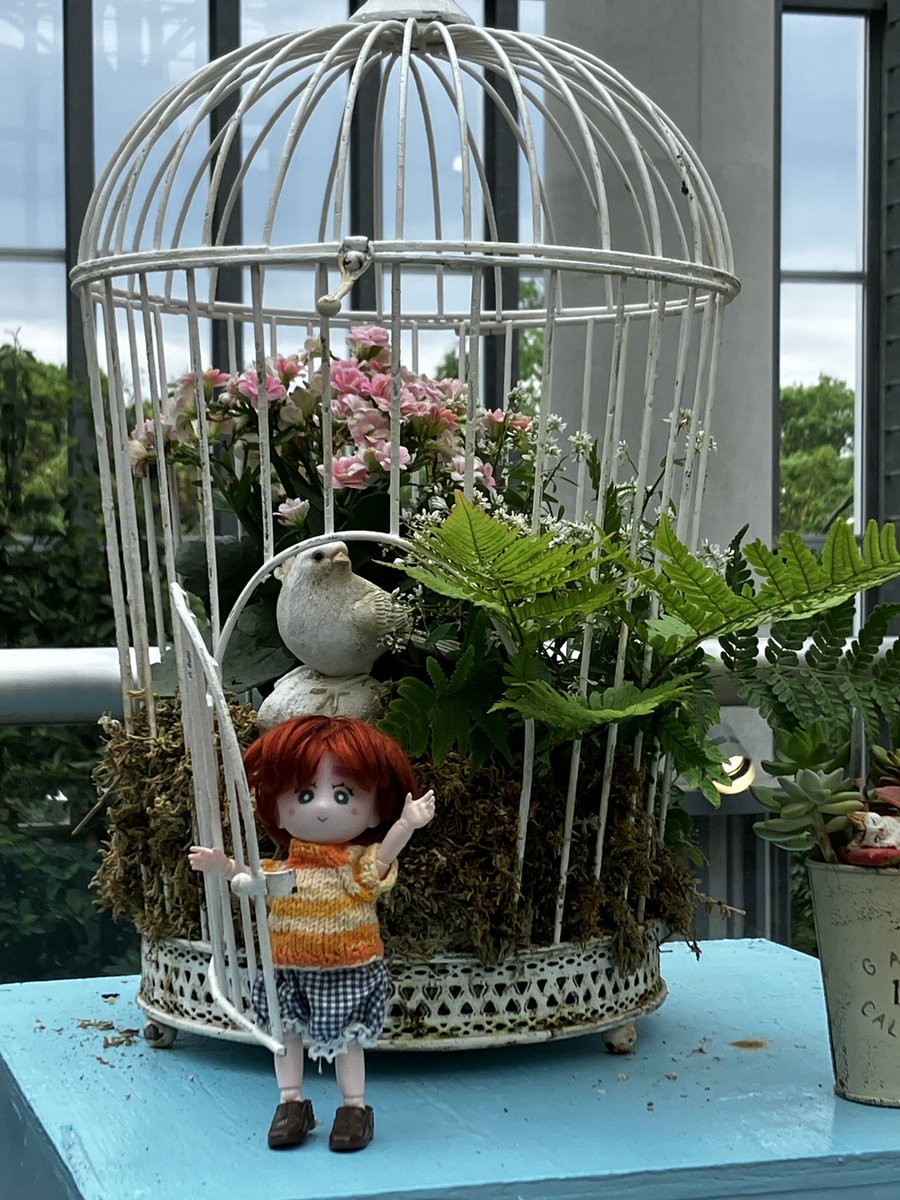 gogono_darko's tweet photo. 今日8月3日。はちみつの日の主役は、ミックちゃん！🎂
昨日のエリクさんに続いて、またまたお誕生日です。

美味しいご飯とカモちゃんが大好きな、いつでもどこでも一緒の可愛い坊やです。
健診前なので、おやつは控えめに！ https://t.co/A6B7QZcfgg