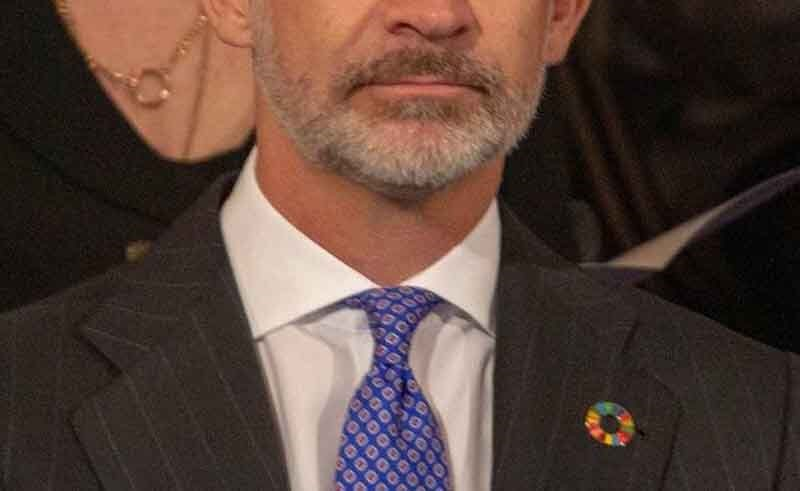 JulioRazona's tweet photo. El Rey de España lleva un prendedor que resume la crisis en España, sus fronteras abiertas para ser invadidos, los incendios provocados, la perdida de sus bosques, cultivos, la destruccion de sus represas, la feminizacion de sus hombres y demás fines de los perversos esclavistas del NOM