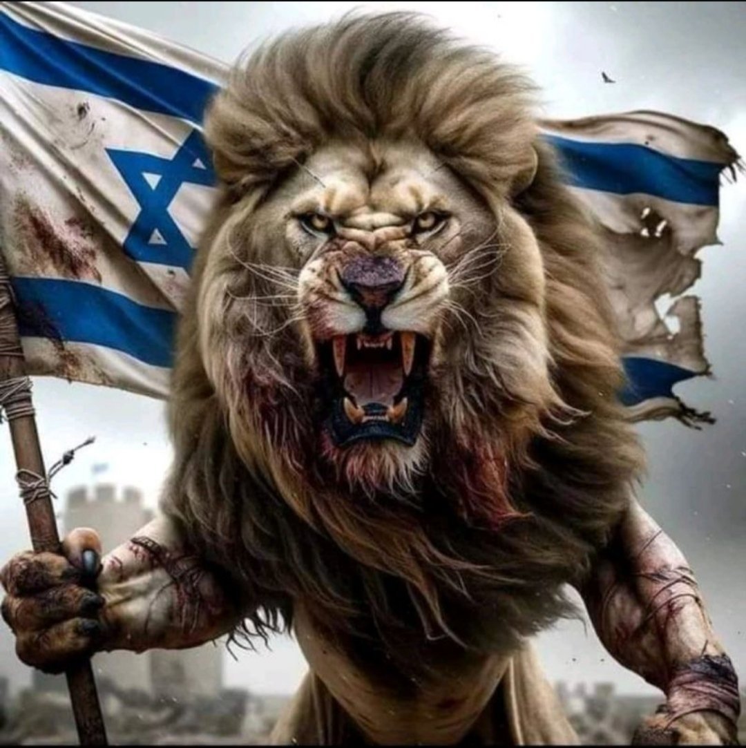 1959Goldstein's tweet photo. @YisraelOfficial Am Yisrael Chai 🇮🇱💪✡️❤️🇺🇸🫡 🗽
#LightforIsrael
#NeverAgainIsNow
#GodblesstheIDF
#GodBlessIsrael 🇮🇱
#StopTerrorism
#stophamas
#STOPIRAN https://t.co/0Ffjrc4ZSO