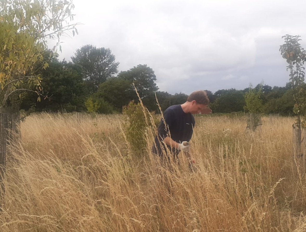 fruitnutvillage's tweet photo. Recent activity in #DruidsHeath. Our regular care session in #DruidsHeathGreen #ForestGarden. https://t.co/9Y510z77ic