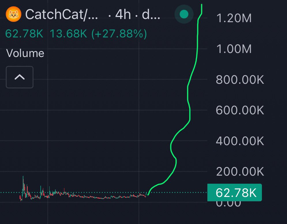 Lanre_exe's tweet photo. Early!
Vertical candles on #Catchcat soon
6kKVmP1FZM7wtDNLDcHKx7zLGhA4sUt9WAo6kG9mpump https://t.co/nnUeaM7j5y