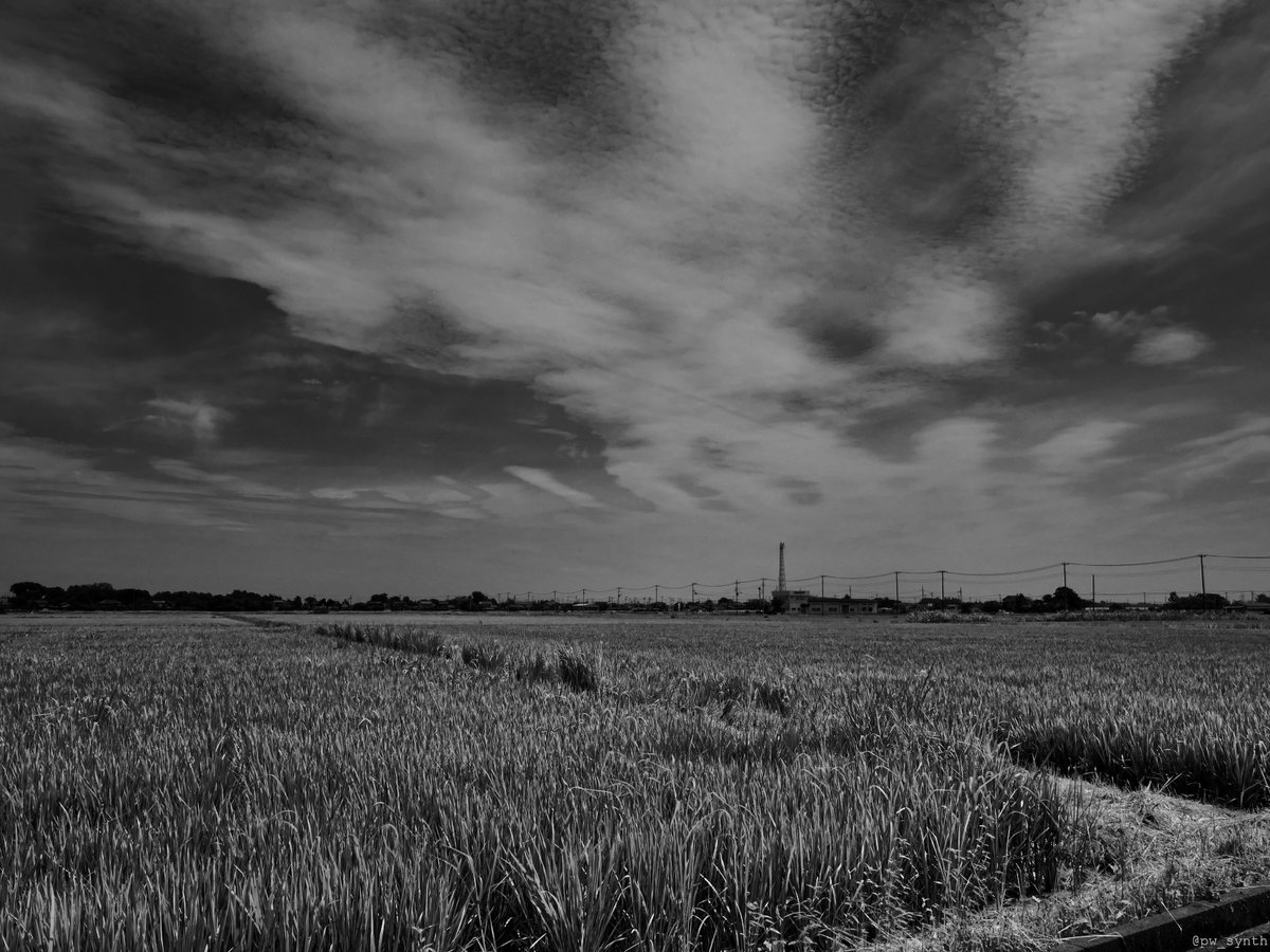 茫洋 #snap #SILKYPIX #monochrome #OLYMPUS #OM #OLYMPUSPEN E-P7