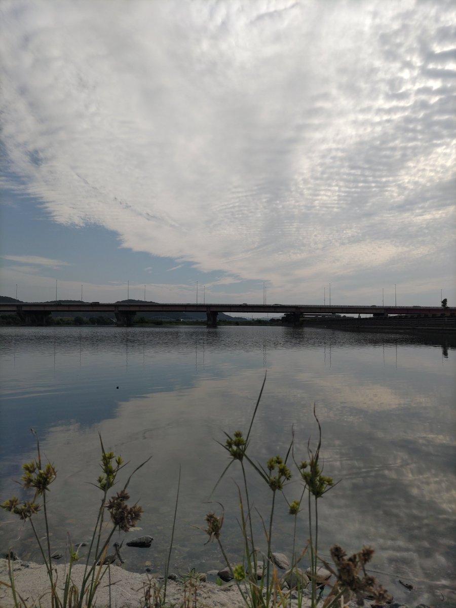 FMtsenryu's tweet photo. 8/5（水）#FM宝塚　#たからづか8丁目35番地　#川柳の時間　は茉莉亜まりの鑑賞、パーソナリティは　#山崎彫科 さんでお送り致します。ご投句はFM宝塚ホームページリクエスト欄よりどうぞhttps://t.co/uucs1sH74b。FM宝塚YouTube公式チャンネルにアーカイブが1週間程度残ります。既発表句もご投句可📩。 https://t.co/wOQAocu8HJ