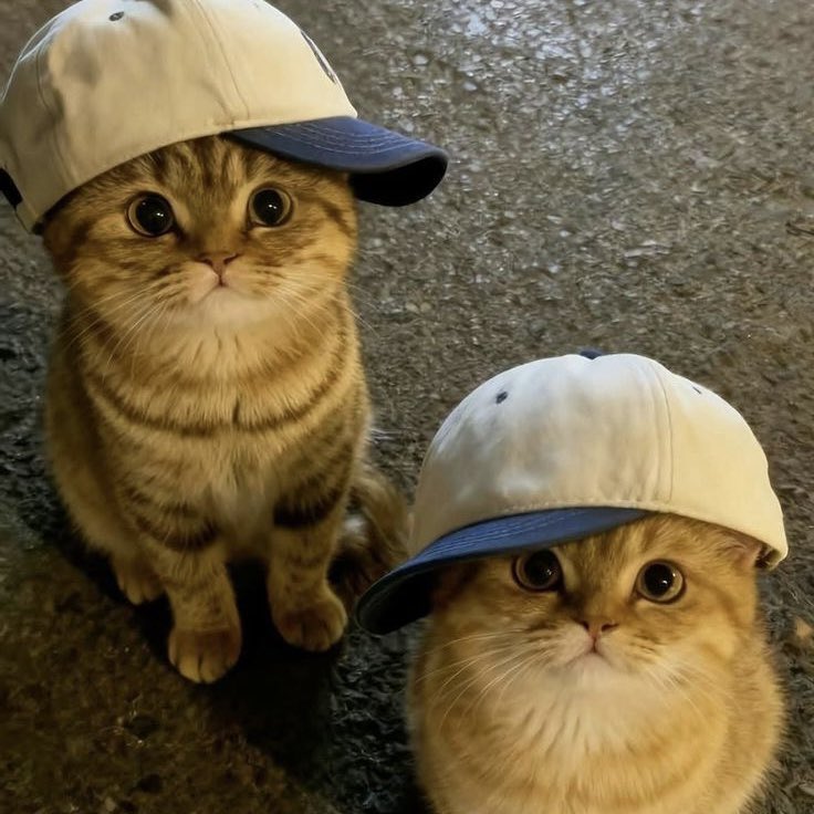 keoncats's tweet photo. https://t.co/am7ry0YwRu