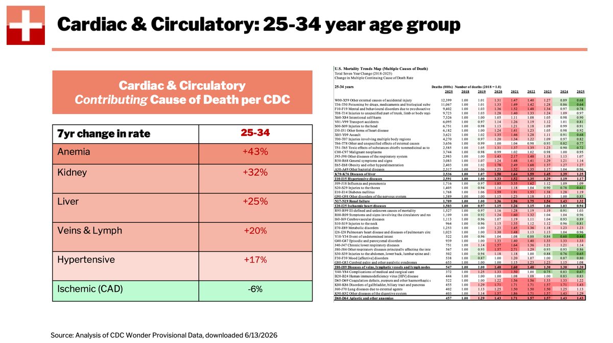 InsuranceCollab's tweet photo. 🫀 Rising cardiac &amp; circulatory risks in 25-34 year olds. While absolute death counts are smaller in this younger cohort, early signals are important. Opportunity for prevention and earlier detection starts here. #PublicHealth #Health #Data #Trends #Insurance @InsuranceCollab https://t.co/NGjVd5idt5