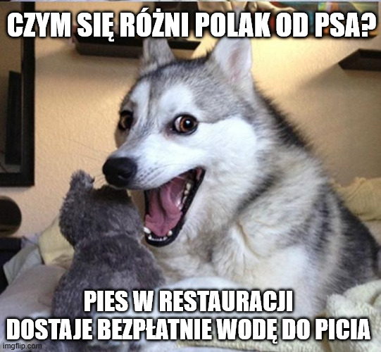 mafia_deweloper's tweet photo. SPRAWCZOŚĆ https://t.co/tHlgWjGWpw