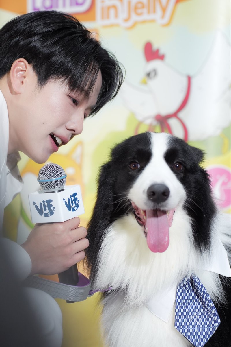 prchypp's tweet photo. มีเด็กแอบจุ๊บแจ้มป๊า 🥹💖

#VIFxYWZSPetexpo 
#warwanarat @warwanarat https://t.co/hYAIuRKREn