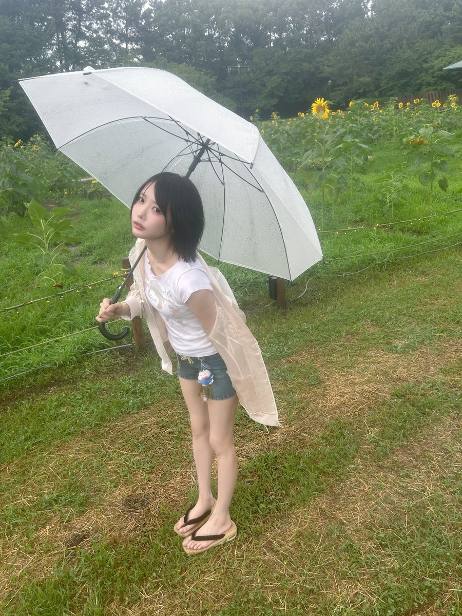 O2sanso_X's tweet photo. 🌻🫧
#あのちゃん 
@aNo2mass https://t.co/DNlUzl5HQZ