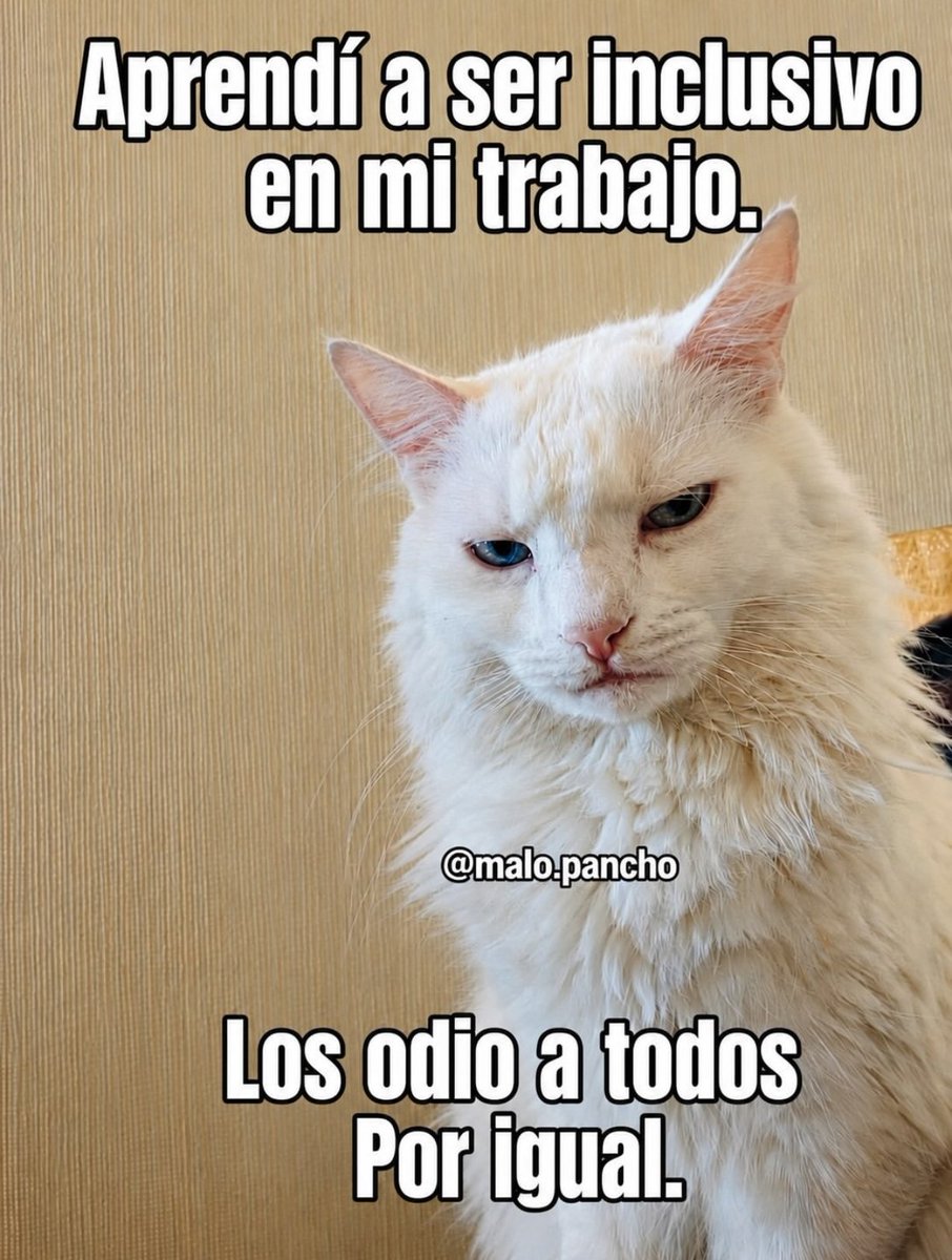 junkie_gollo's tweet photo. https://t.co/dHa7FThmEL