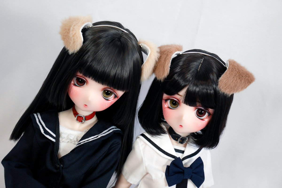 kaerunodollya's tweet photo. 🐶❤️激かわ双子ちゃん 爆誕ぜよ!💚🐶

おっとり困り顔ちゃん➝https://t.co/e496gfHgrp

ツリ眉しっかりちゃん➝ https://t.co/KA3GEGnkQh

DDH-01カスタムヘッド×2＋犬耳 出品しました
難アリのため必ず説明を確認してからのご入札をお願い致しますm(_ _)m
木曜夜まで!🐸✨

  #かえるっ子 https://t.co/0oSLb5SeGc