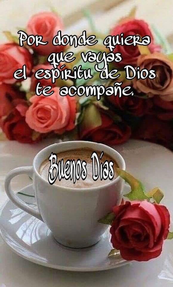 jmtr67's tweet photo. Gracias 🙏 Señor por un nuevo amanecer 🌅 https://t.co/pe0O8w7gqO