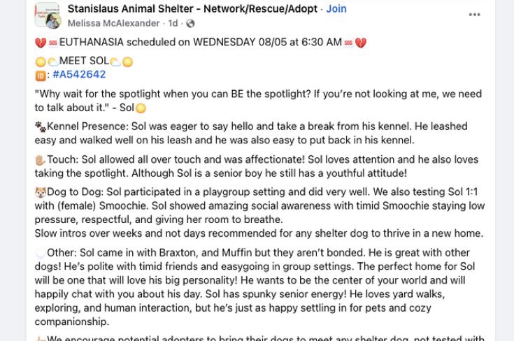 MountainonSol's tweet photo. Since we are in DOGE/CATE meta i found a giga.

This dog called "Sol" will be killed if we dont help  at a California shelter after being red-listed only seven days after arriving 

Lets run a coin and send fees to save him 

He gets Euthanised at 6am on wednesday??????

(donations go to the Humane Society of Stanislaus County not the shelter because the Humane Society is an independent nonprofit that funds local medical care, shelter support and adoptions rather than the agency that placed Sol on the red list)

$SOLCOIN