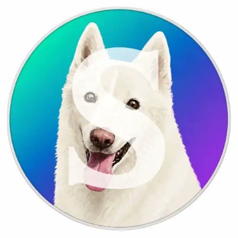 MountainonSol's tweet photo. Since we are in DOGE/CATE meta i found a giga.

This dog called "Sol" will be killed if we dont help  at a California shelter after being red-listed only seven days after arriving 

Lets run a coin and send fees to save him 

He gets Euthanised at 6am on wednesday??????

(donations go to the Humane Society of Stanislaus County not the shelter because the Humane Society is an independent nonprofit that funds local medical care, shelter support and adoptions rather than the agency that placed Sol on the red list)

$SOLCOIN