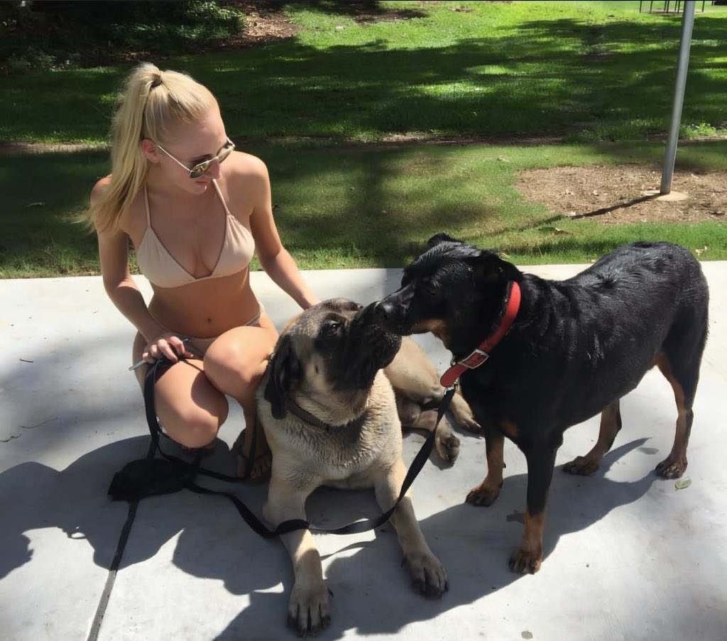 lauraknottnytv's tweet photo. Hii 🥰🐕 https://t.co/hxItL2Fs6Z
