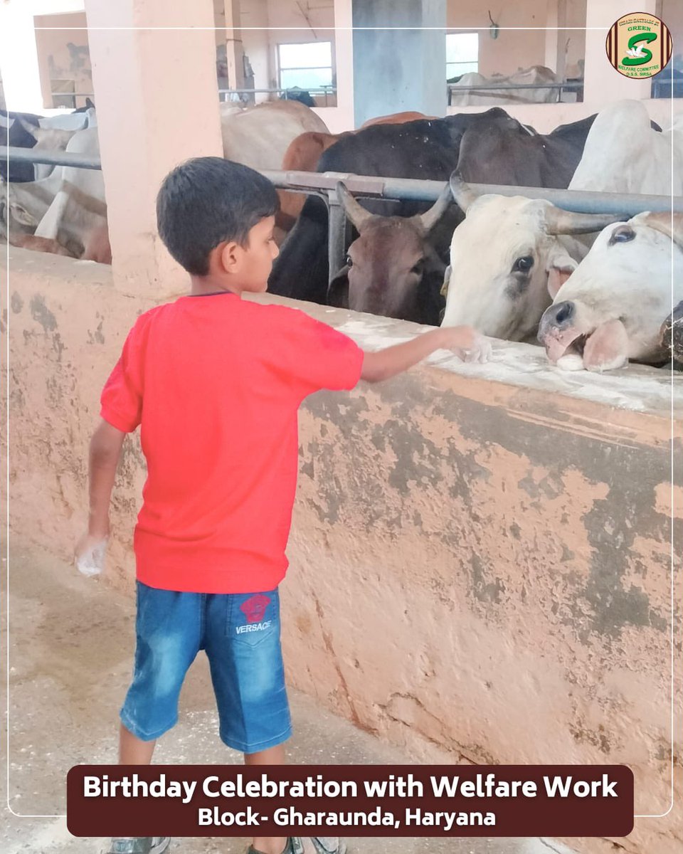 GreenSwelfares's tweet photo. A birthday becomes truly special when its happiness is shared with those who need care, hope and support. 🎂

Inspired by the teachings of Saint Dr. Gurmeet Ram Rahim Singh Ji Insan, volunteers celebrated birthdays through meaningful welfare works—feeding cows🐄, planting saplings for a greener future🌱 and sponsoring the annual education📚of a needy child. 

These thoughtful acts show that celebrations are not only about receiving gifts, but also about giving life, opportunity and kindness to others.

#BirthdayWithPurpose #EducationSupport #ChildEducation #PlantTrees #GauSeva #CowFeeding #AnimalWelfare