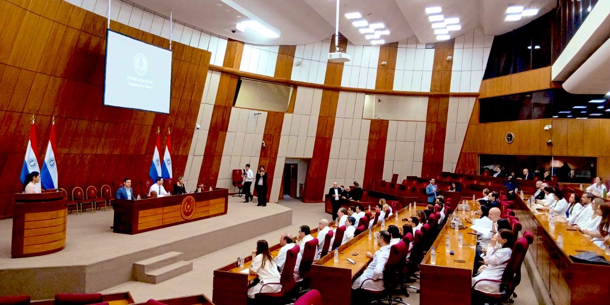 Salas_HCSCN's tweet photo. Inicia audiencia con Sociedades Médicas convocada por el Presidente de @DiputadosPy @raulatorre  
📍Sala de Sesiones del Congreso Nacional https://t.co/xFBAakMlua