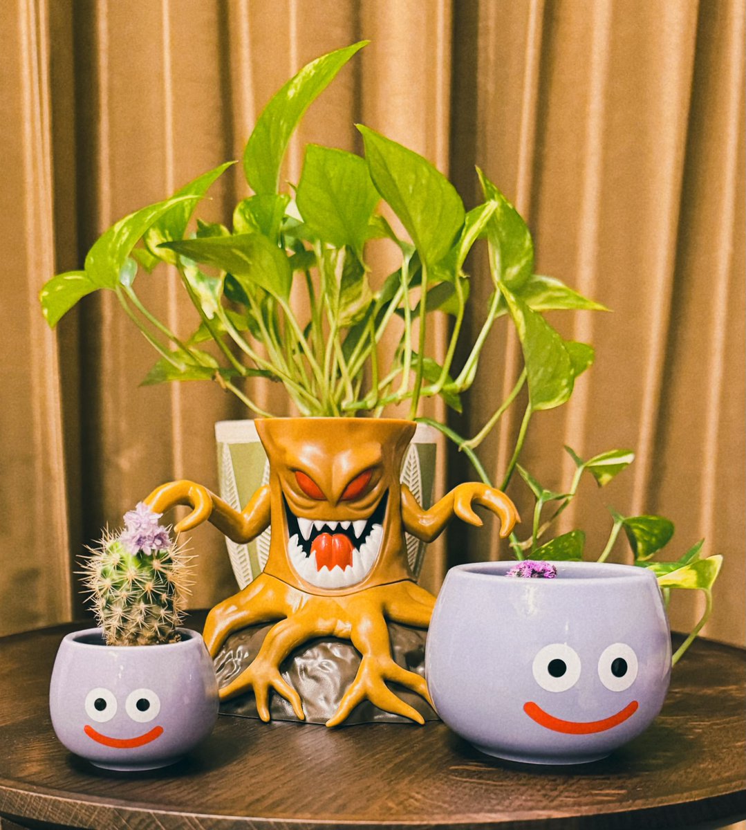 Pri_P_Game's tweet photo. ドラクエのじんめんじゅ植木鉢をお迎えしました🪴水抜き穴もちゃんとあるし付属のパセリ以外の植物も植えられそう🥳他にも何個かドラクエグッズお迎えしてあるんだけど、飾るもの(台とか)がまだ用意してないから後日アップします🤗 https://t.co/DQQCdVHqwa