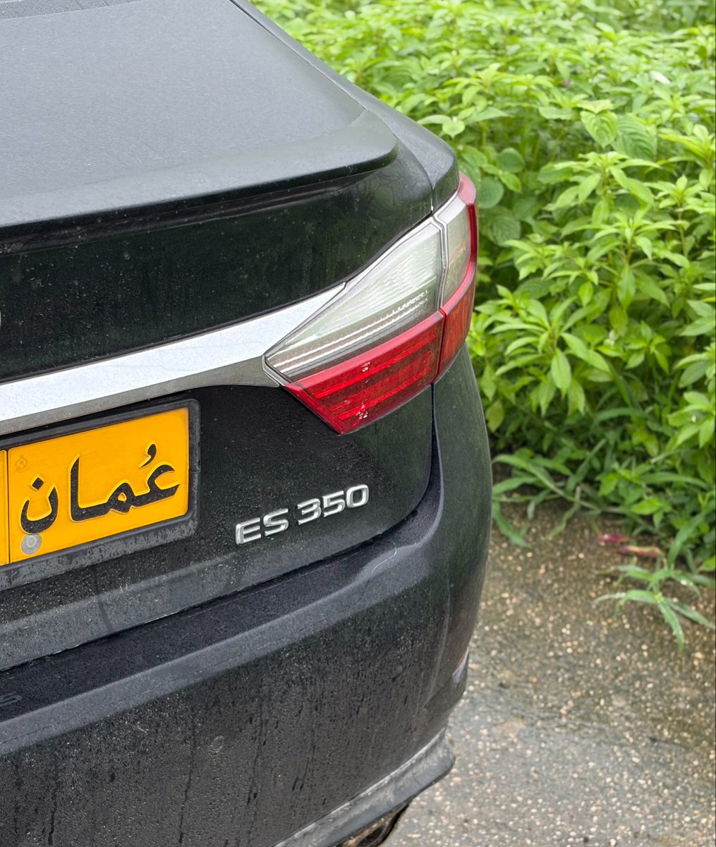_l4_m tweet picture