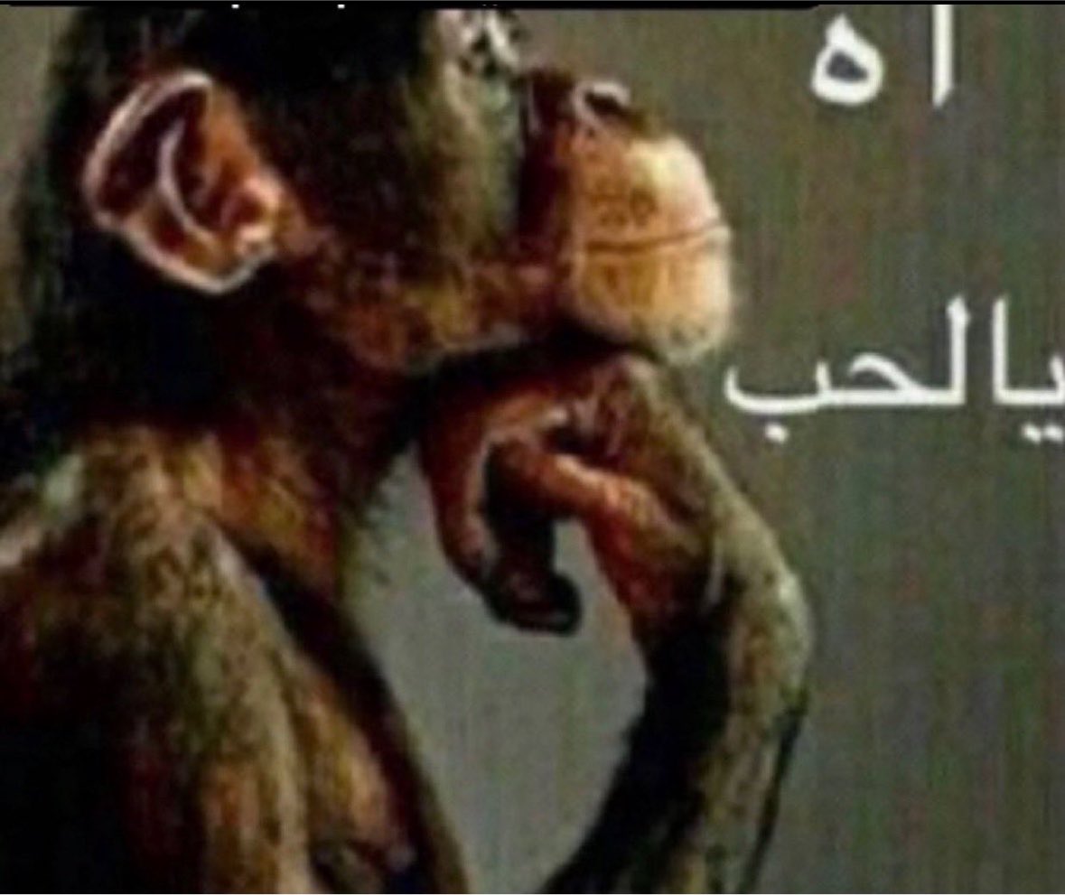harj7y's tweet photo. أنت بأهم فترة بحياتك https://t.co/HSBSRclERf