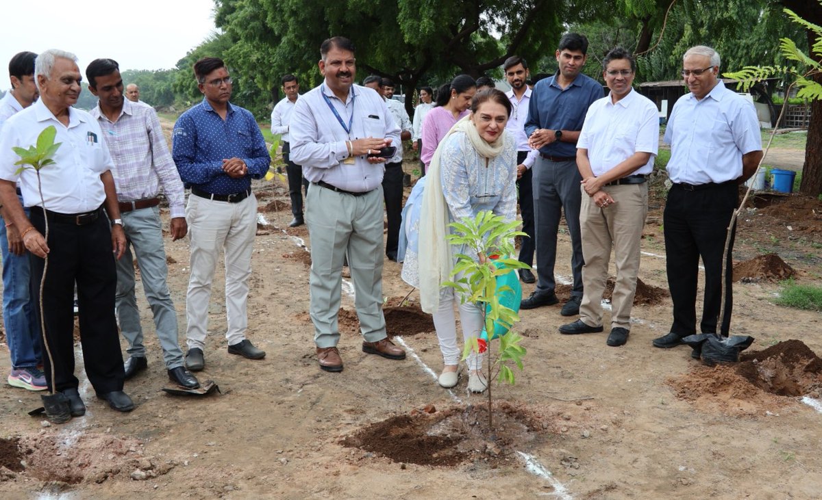 INDIACSR's tweet photo. Alembic Marks 119th Foundation Day with Nutrition, Tree Plantation and Blood Donation Initiatives
https://t.co/8E0qjfNbem https://t.co/fOD4LVJbI0
