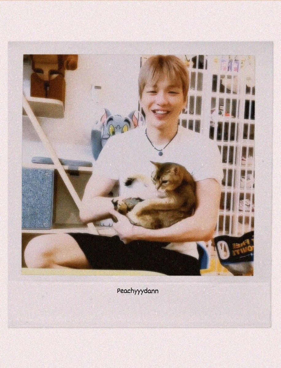 PeachyyyDann's tweet photo. POV: BF's polaroid. He's a cat person

#KANGDANIEL #강다니엘 https://t.co/6fddhmJW6t