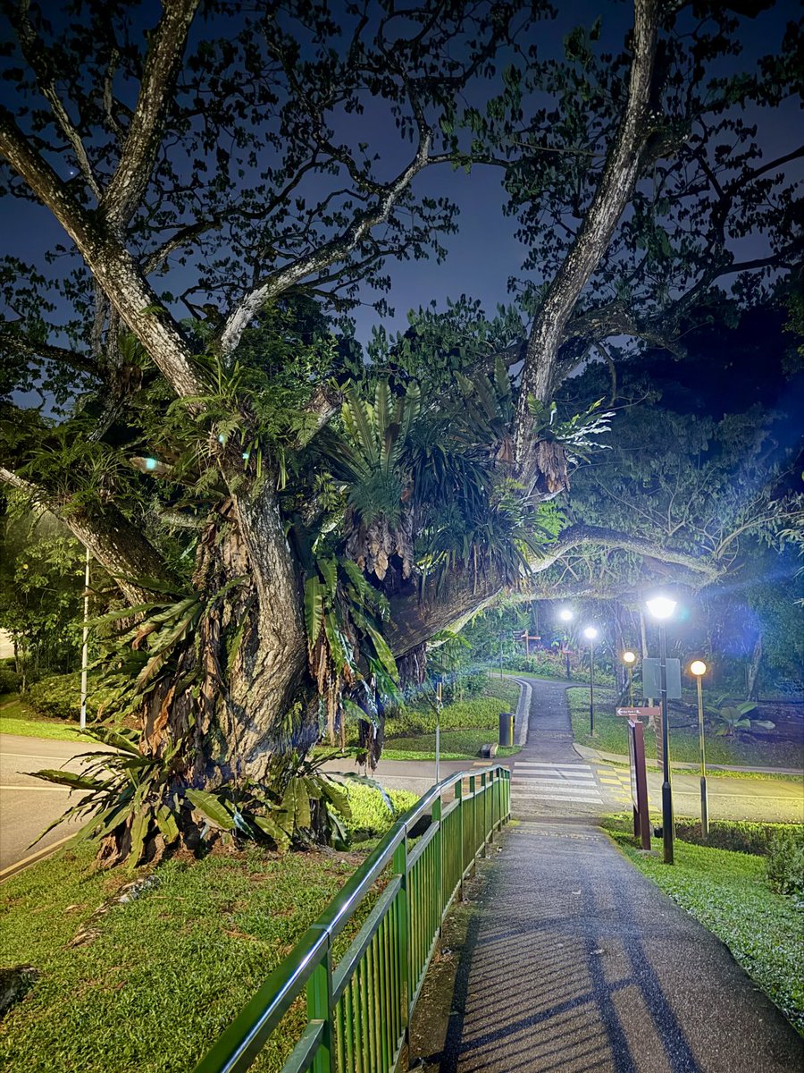 MMKKLlz's tweet photo. The tranquility of the night is meant to be enjoyed🌙✨ https://t.co/210InsL9fn