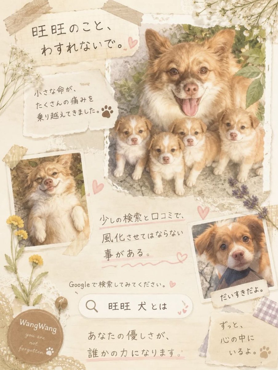 forthedogs_'s tweet photo. みなさん！
ポストやリポストなどするときは #justiceforwangwang、 #wangwang、 #旺旺 をつけてください！
会話の中に#つけてしまうのもありだと思います。
ずっとトレンドに旺旺の名前をあげ続けましょう！
旺旺に正義を！！！！！ https://t.co/wWR6w3uAzc