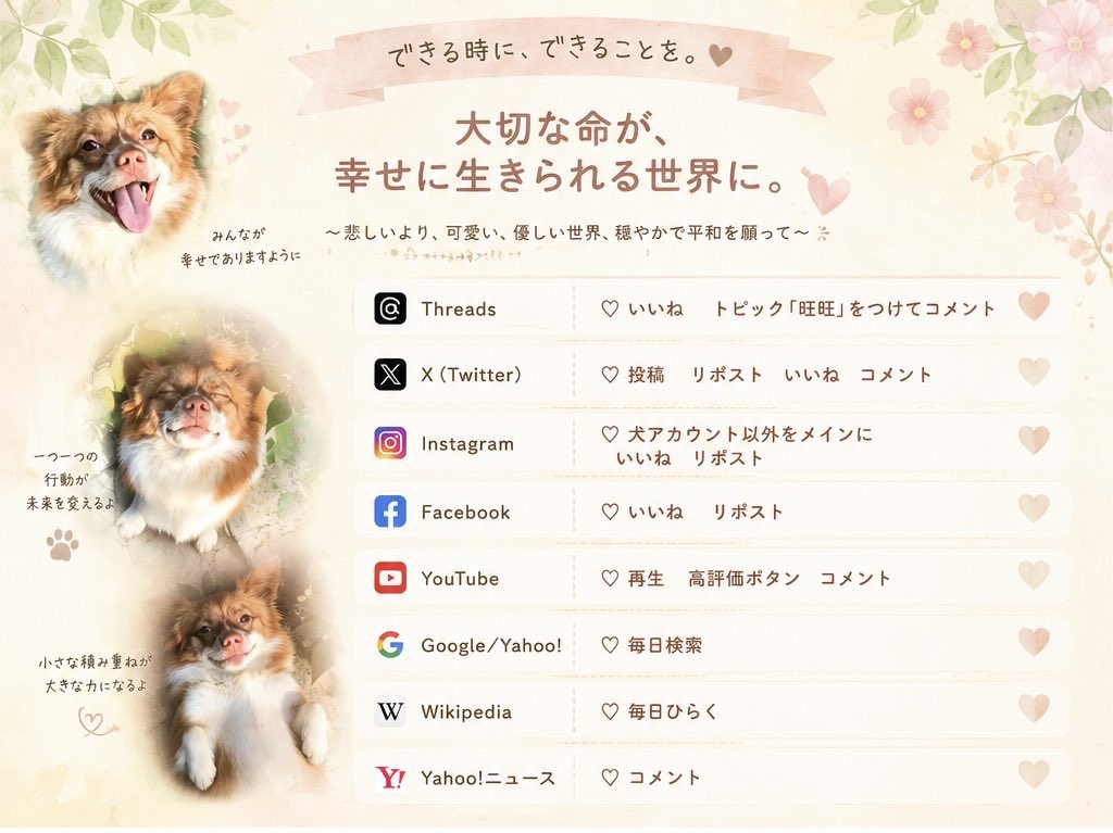 forthedogs_'s tweet photo. みなさん！
ポストやリポストなどするときは #justiceforwangwang、 #wangwang、 #旺旺 をつけてください！
会話の中に#つけてしまうのもありだと思います。
ずっとトレンドに旺旺の名前をあげ続けましょう！
旺旺に正義を！！！！！ https://t.co/wWR6w3uAzc
