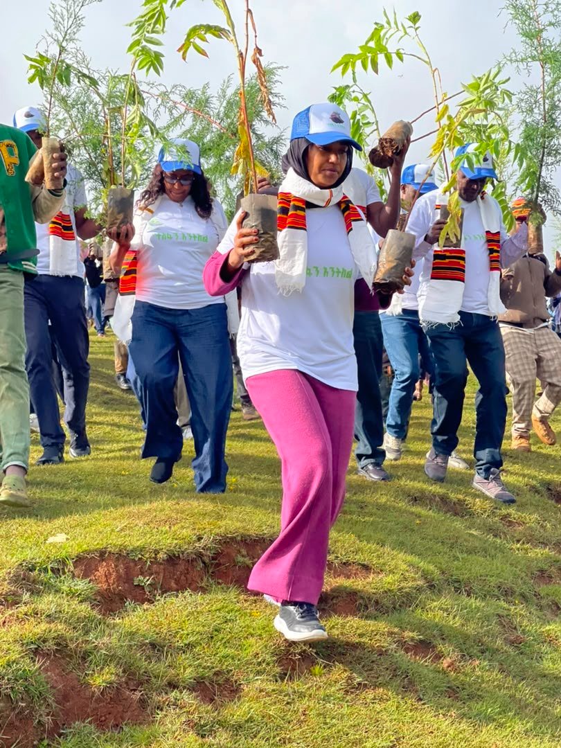 RRSEthiopia's tweet photo. 800 million seedlings in a single day!
Proud to be part of history! Today, RRS family &amp; partners joined hands with millions across 🇪🇹 for the 2nd time in the year to contribute to the national greening initiative of planting 800 million tree seedlings in a single day.
🌱🍀🌴 https://t.co/vZo7sE6KuU