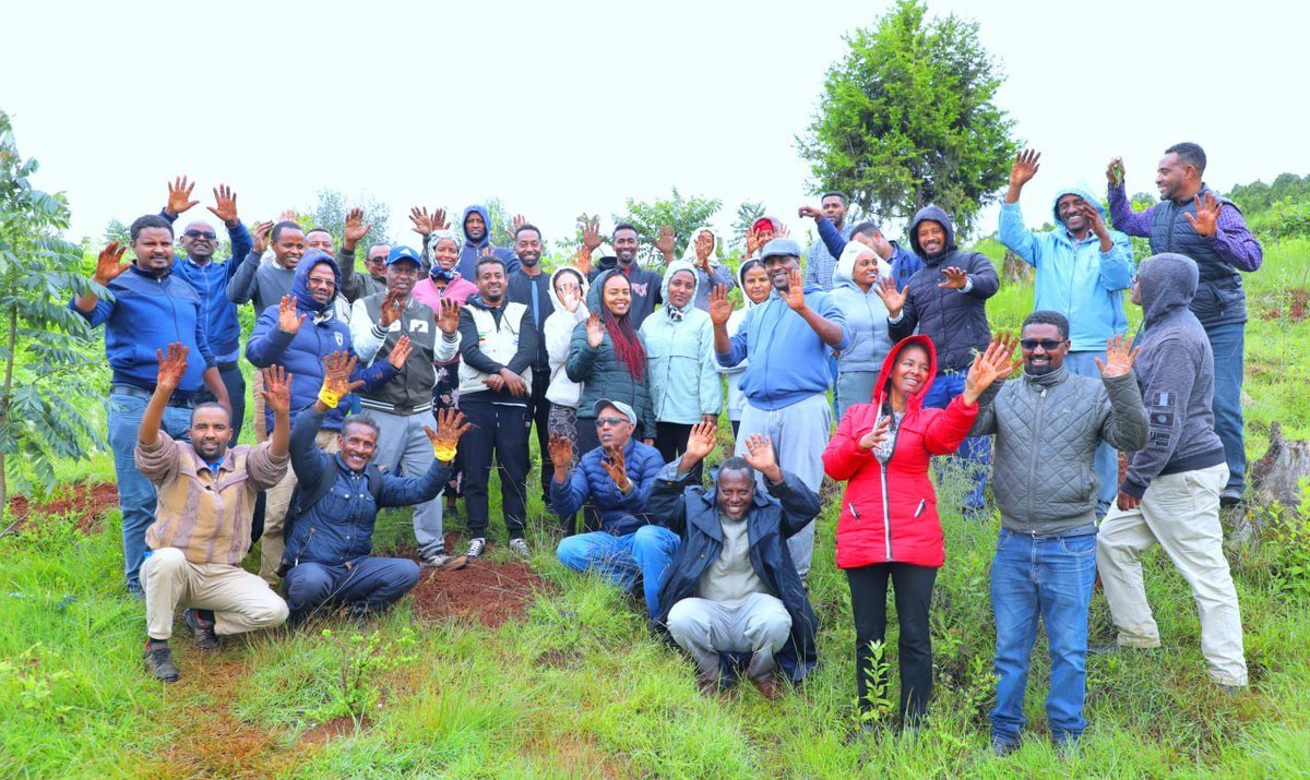 RRSEthiopia's tweet photo. 800 million seedlings in a single day!
Proud to be part of history! Today, RRS family &amp; partners joined hands with millions across 🇪🇹 for the 2nd time in the year to contribute to the national greening initiative of planting 800 million tree seedlings in a single day.
🌱🍀🌴 https://t.co/vZo7sE6KuU