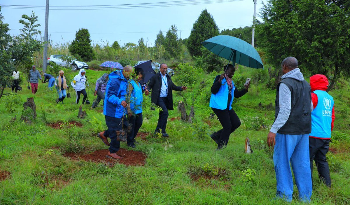 RRSEthiopia's tweet photo. 800 million seedlings in a single day!
Proud to be part of history! Today, RRS family &amp; partners joined hands with millions across 🇪🇹 for the 2nd time in the year to contribute to the national greening initiative of planting 800 million tree seedlings in a single day.
🌱🍀🌴 https://t.co/vZo7sE6KuU