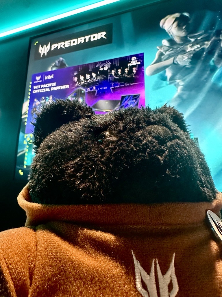 Predator Bear 📣🧸🔥 #AcerPlayMaster (@predator_bear) / Posts / X