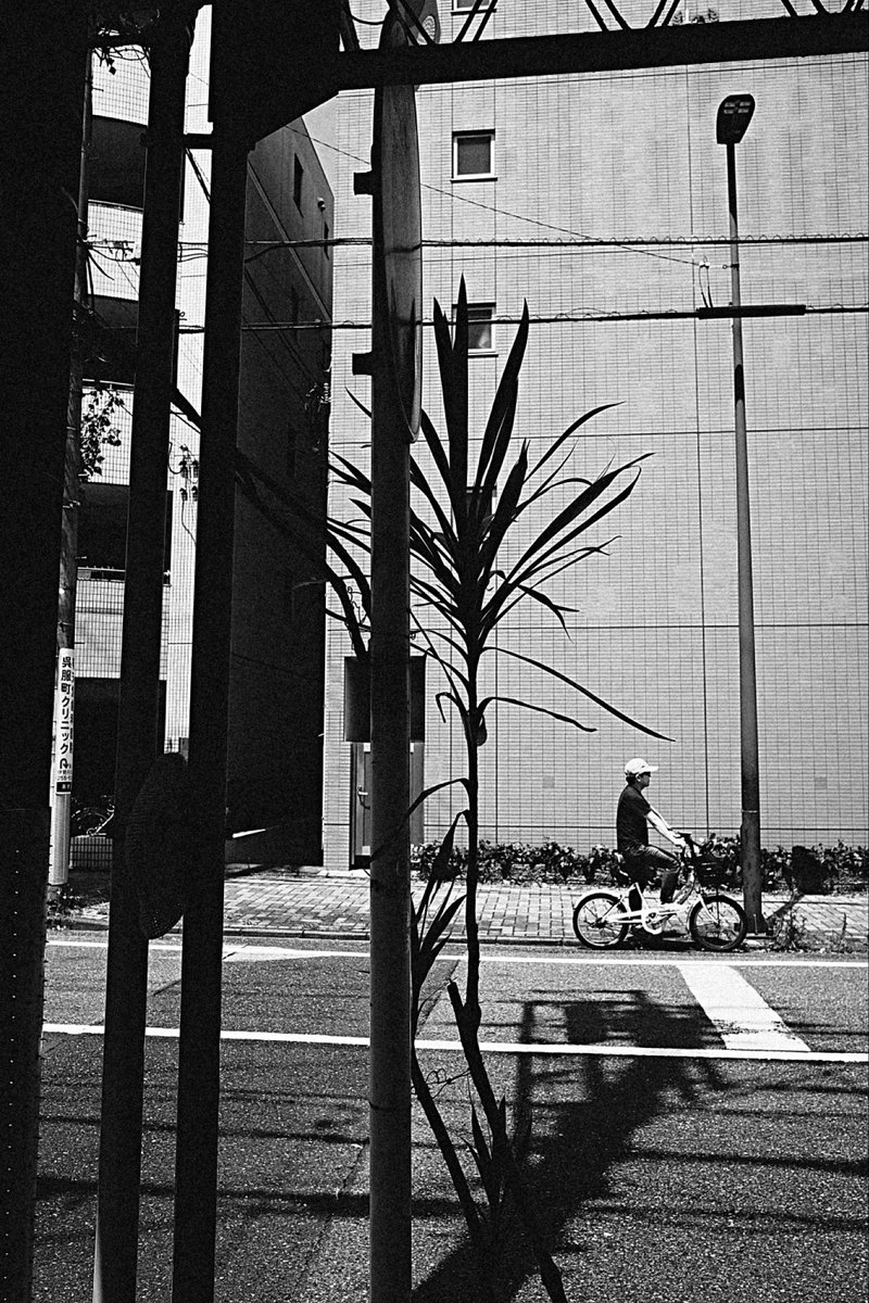 ykkga's tweet photo. #gr4monochrome https://t.co/E4ZBw0uhpN
