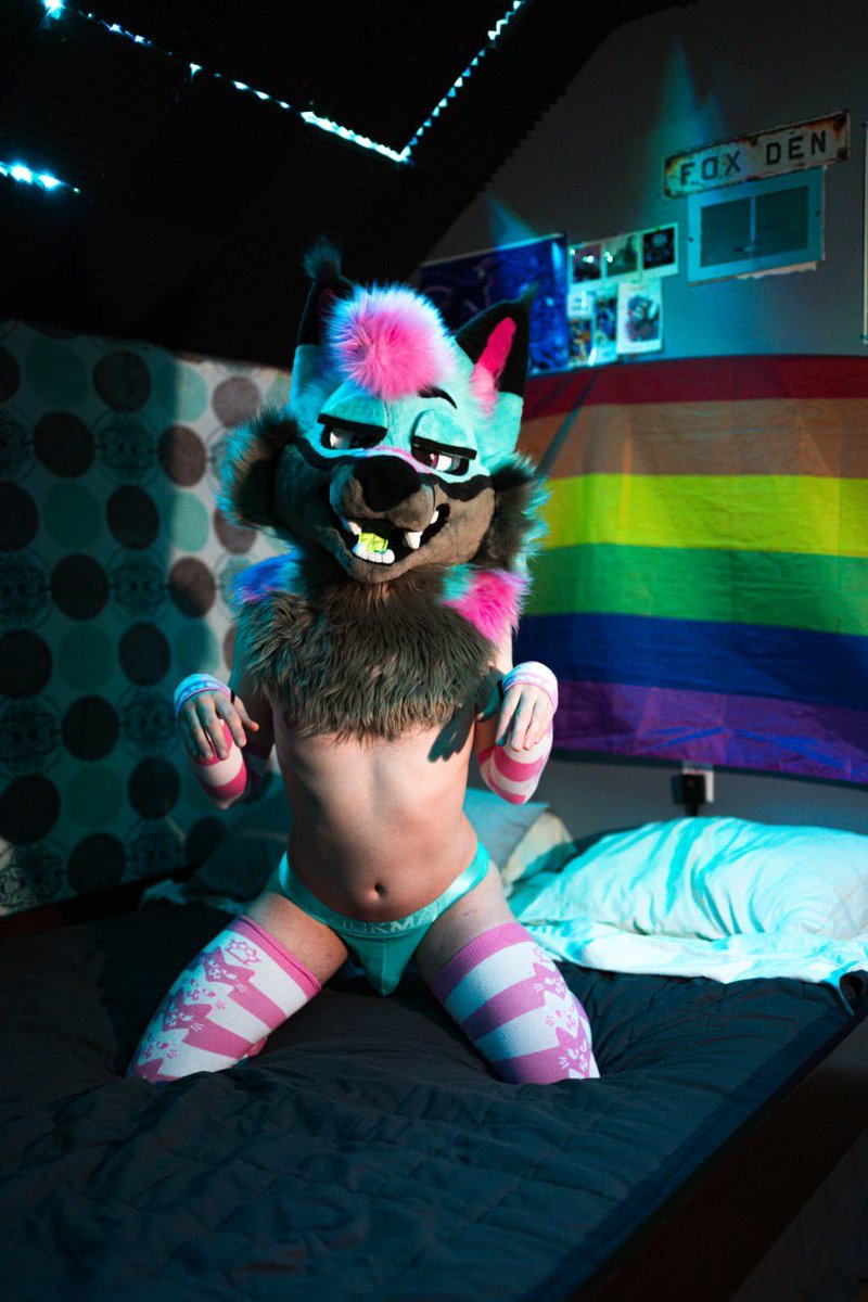 KryptochromeFox's tweet photo. We are back, and just before Canfurence too. See many of you there 😏 @OweoDragon https://t.co/XmkEyY4jsD