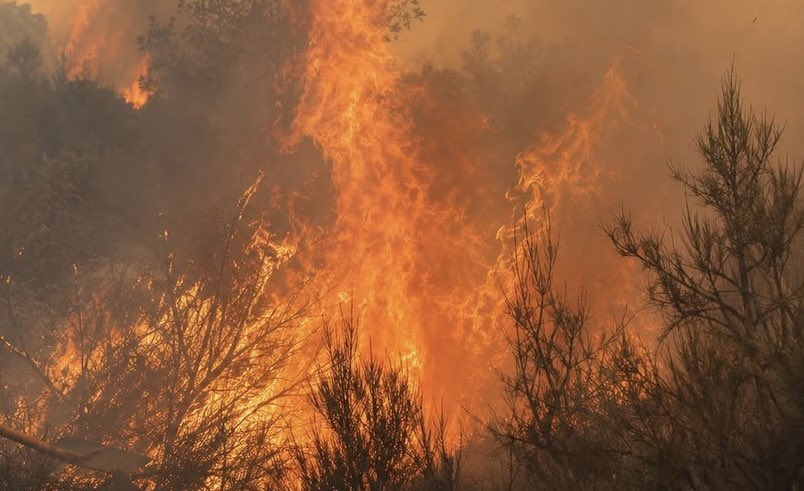 urcacyl's tweet photo. A todos nos afectan los incendios!!!🔥🔥🔥… pero son los ganaderos y los agricultores los paganos de este infierno de llamas. 
Pastos abrasados, forrajes quemados… llamas y cenizas…¿que hacen o que no hacen las administraciones? https://t.co/2ilNRkooZJ