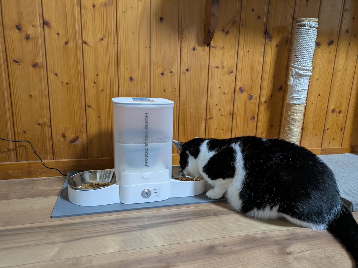0704_ka's tweet photo. 母が猫に餌をあげれない(腰痛)ので
自動供給器に切り替えてみた。便利 https://t.co/q1rgO8FYTQ