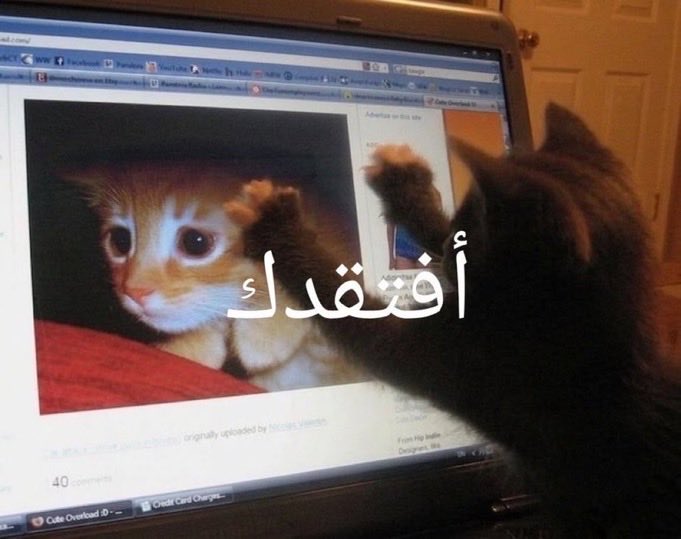 naloalh's tweet photo. وانا اشوف فلوقاتي ويا ربيعاتي😔 https://t.co/6DgStGbwNb
