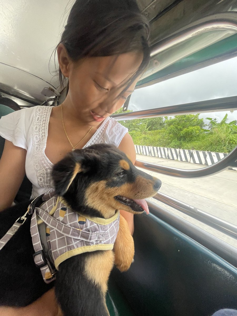 luckelle_'s tweet photo. otw to emerita's farm, alfonso cav w fam - 072526 https://t.co/mBCQuQB5j5