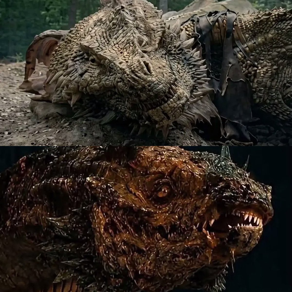 Uc_heyy02's tweet photo. No dragon’s downfall hit me harder than Sunfyre’s.
From the most beautiful dragon in Westeros to this.

Which dragon had the saddest fate? https://t.co/edHNgCuqUG