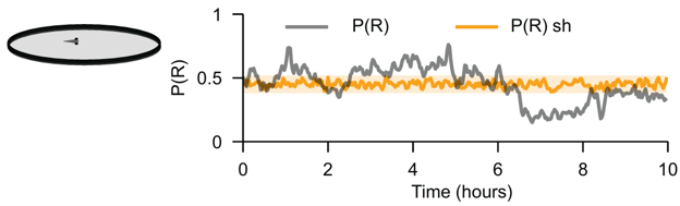 BahlLab's tweet photo. New preprint https://t.co/wjf4ZASLtr. We show that zebrafish larvae exhibit complex, internally generated, spontaneous behavioral patterns in the absence of stimuli. These dynamics can be described by a simple Markov process with transition probabilities that change over time. https://t.co/po9VcRPqX6