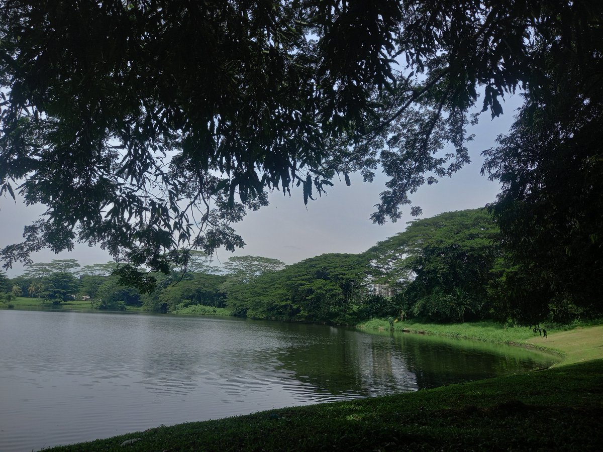 XCONFUSEDX00's tweet photo. spot baru untuk melamun
bengong
merenung 
merokok
ngebir 
putar musik
salto 
kayang 
kira kira suntok kali 
bante berenang
coba tahan napas 5 menit 
inshaallah leong https://t.co/cquyaumDRk