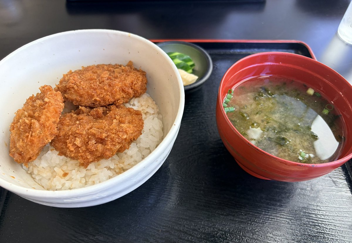 renamaeda07's tweet photo. 魅力的なグルメの数々をおすすめありがとうございました☺️✨

新潟競馬場では
・一〆さんのたれかつ丼、冷やしきつねそば
・サンエツさんのヤスダヨーグルト製ピュアミルクソフト　　
をいただきました！！最高最高最高ゥ！

〜新潟駅でいただいたラーメンも添えて〜
（前回3月に行った時のも添えて） https://t.co/5wtv13axdt